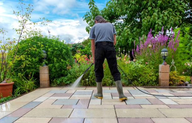 Brick and Stone Cleaning